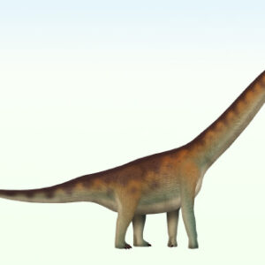 New Sauropod Dinosaur Species Identified in Brazil