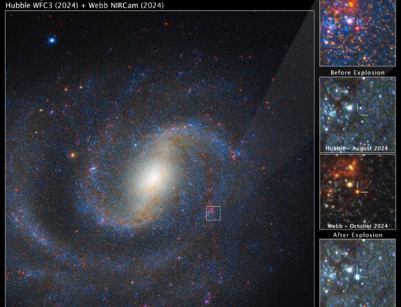 Webb Identifies Supernova Progenitor Star in NGC 1637