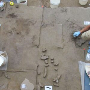 14,000-year-old ivory tools found in Alaska hint at how Clovis ancestors first arrived in the New World