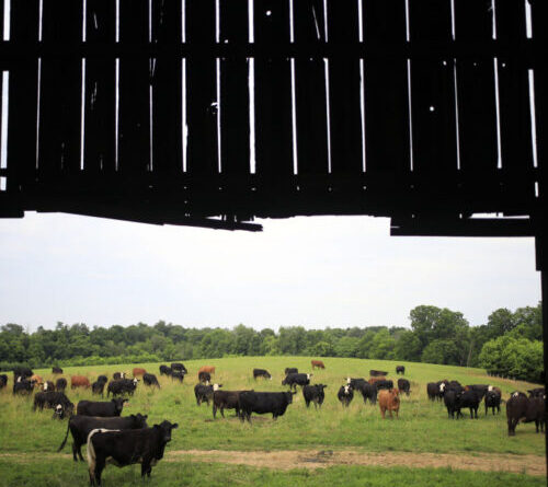 Data center builders thought farmers would willingly sell land, learn otherwise