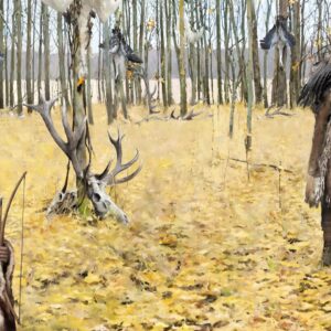 Stone Age boy in Sweden was buried in deerskin and a woodpecker headdress, archaeologists discover