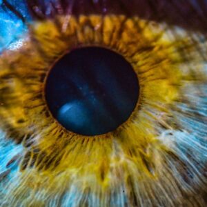 Inherited diseases don’t work like we thought they did