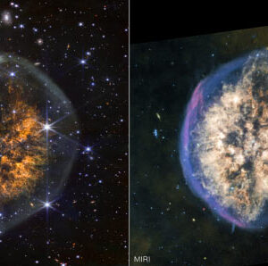 Webb’s Infrared Vision Reveals Planetary Nebula that Looks Strikingly Like Celestial Brain