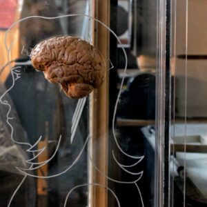 The ‘sweet spot’ of overconfidence — project a bit to be perceived as competent, but don’t be ‘too seduced,’ a cognitive neuroscientist explains in a Q&A