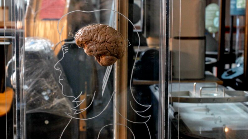 The ‘sweet spot’ of overconfidence — project a bit to be perceived as competent, but don’t be ‘too seduced,’ a cognitive neuroscientist explains in a Q&A