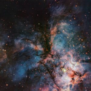 VLT Focuses on Brown Dwarfs and Infant Stars in RCW 36