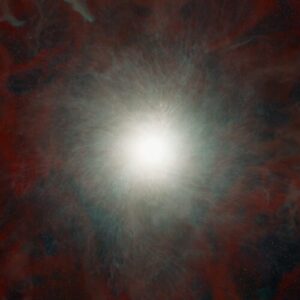 Research roundup: Six cool science stories we almost missed