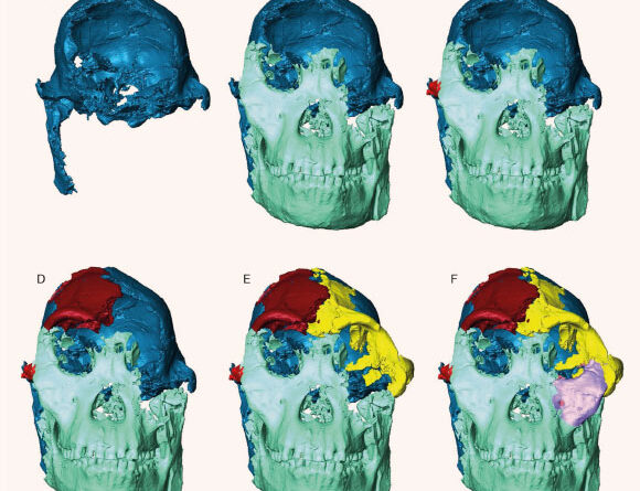 Scientists Digitally Reconstruct Face of ‘Little Foot’