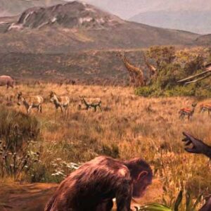 Graecopithecus May Have Been Partially Bipedal, New Fossil Suggests