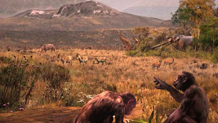 Graecopithecus May Have Been Partially Bipedal, New Fossil Suggests