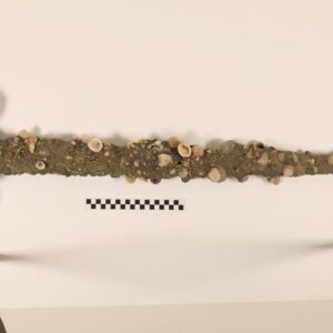 The sword in the sea: How one lucky graduate student found his second Crusader sword while taking a swim off Israel’s coast