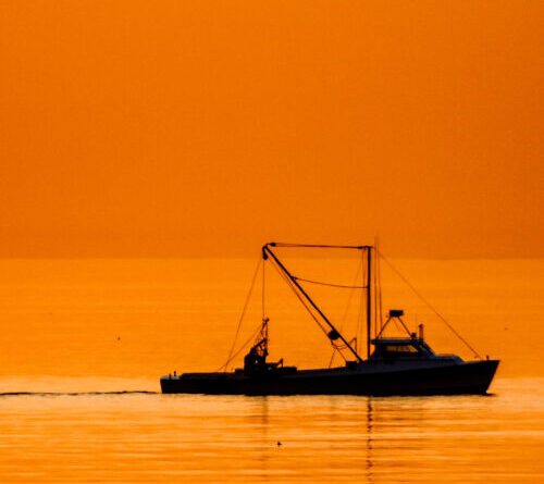 Fishing crews in the Atlantic keep accidentally dredging up chemical weapons