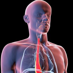 Making a ‘digital twin’ of yourself could revolutionize future surgeries, making medical procedures much more personal