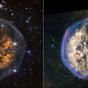 ‘Exposed Cranium’ leaks its gory secrets in new James Webb telescope images: Space photo of the week