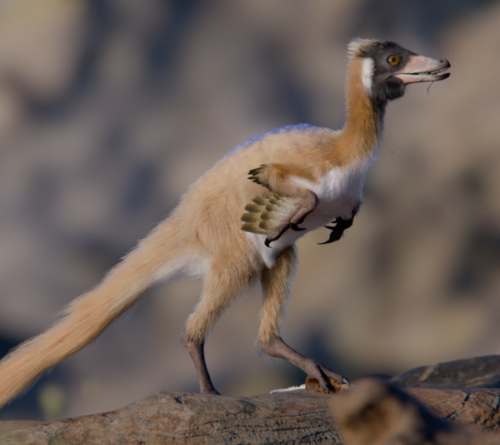 Tiny, long-armed dinosaur leads to rethink of dinosaur miniaturization