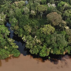 ‘Blackwater’ lakes and rivers in the Congo Basin are now emitting ancient carbon into the atmosphere