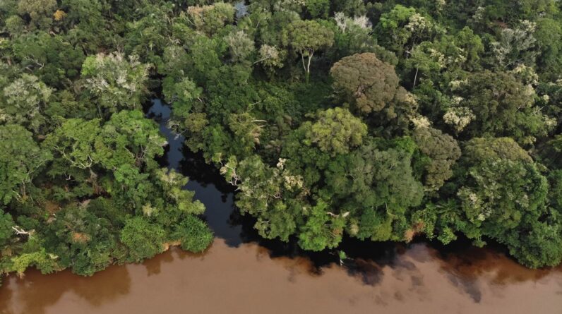 ‘Blackwater’ lakes and rivers in the Congo Basin are now emitting ancient carbon into the atmosphere