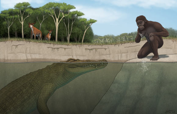 New Fossil Crocodile from Ethiopia Lived alongside Australopithecus afarensis