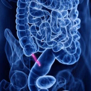 The appendix evolved at least 32 times across 361 species, so it’s ‘unlikely to be a useless evolutionary accident,’ research finds