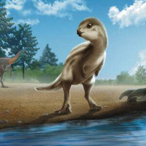New Species of Plant-Eating Dinosaur Unearthed in Korea
