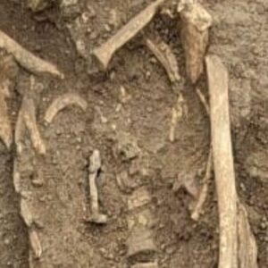 1,800-year-old nails discovered in 3 burials in Roman necropolis, possibly to ‘protect’ both the living and the dead