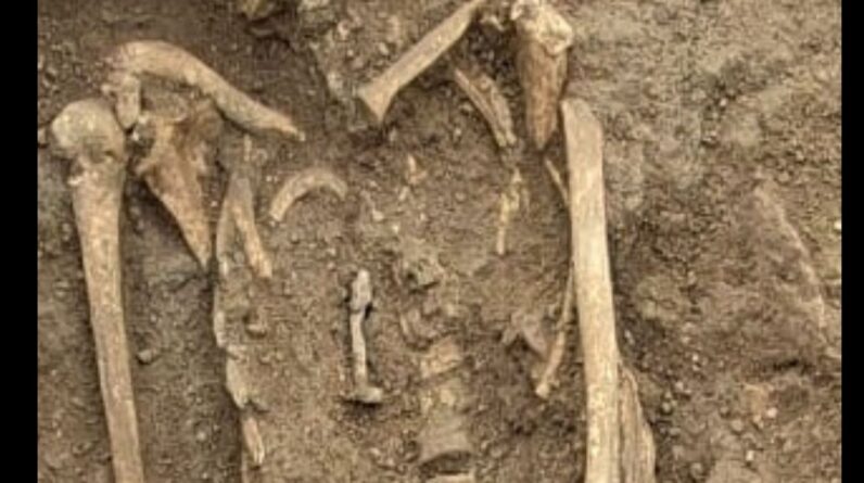 1,800-year-old nails discovered in 3 burials in Roman necropolis, possibly to ‘protect’ both the living and the dead