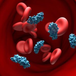 A gene carried by 99% of humanity raises Alzheimer’s risk dramatically. Could gene therapy correct it?