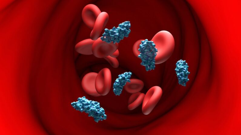 A gene carried by 99% of humanity raises Alzheimer’s risk dramatically. Could gene therapy correct it?