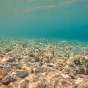 Mining the deep ocean