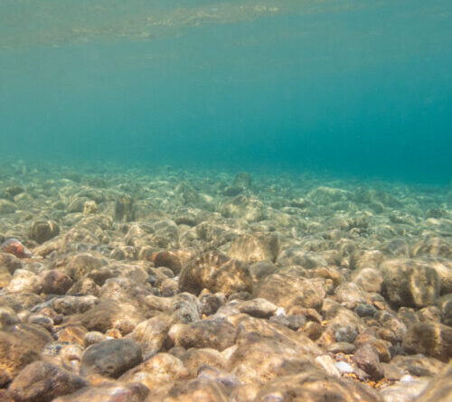 Mining the deep ocean