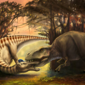 Duck-Billed Dinosaur Fossil Shows Direct Evidence of Tyrannosaur Attack