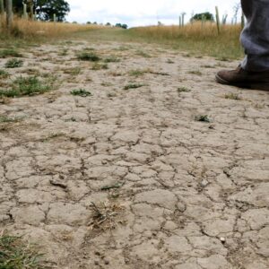 Drought could fuel the rise of antibiotic-resistant superbugs as climate change worsens, new research suggests