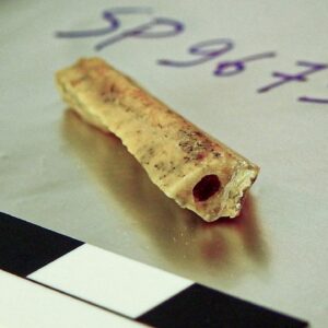 2 Neanderthals present at same Siberian cave 10,000 years apart were distant relatives, 110,000-year-old bone reveals