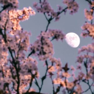 Here’s the stargazing gear you need for April 2026 — don’t miss the Lyrids, two comets and the full moon