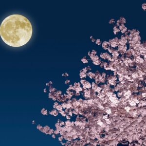 How to catch the full ‘Pink Moon’ in April followed by a ‘Blue Moon’ in May