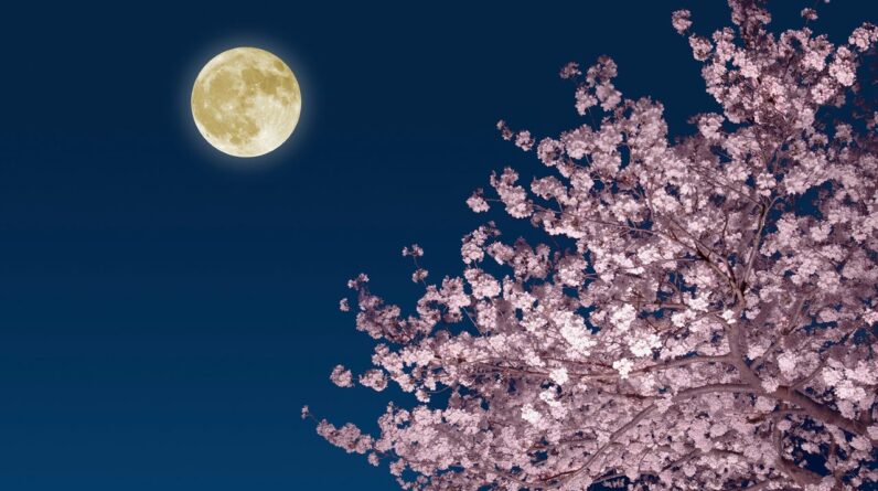 How to catch the full ‘Pink Moon’ in April followed by a ‘Blue Moon’ in May