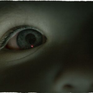 Pig semen molecule could deliver chemotherapy to hard-to-reach eye cancer, mouse study suggests