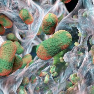 Scientists have discovered an ‘Achilles’ heel’ in deadly superbugs