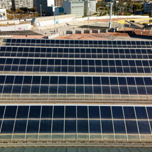 Renewables dominate 2025’s newly installed generating capacity