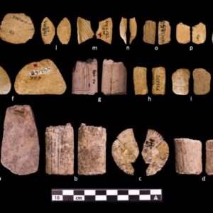 Ice Age dice show early Native Americans may have understood probability