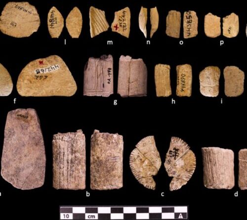 Ice Age dice show early Native Americans may have understood probability