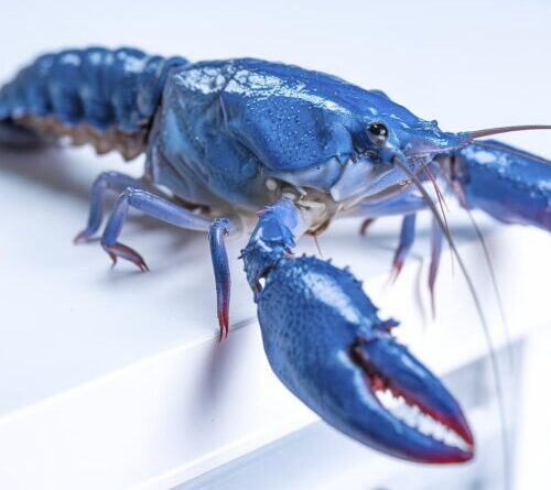 OpenClaw gives users yet another reason to be freaked out about security