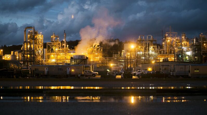 ‘They are literally everywhere’: The shocking story of how forever chemicals polluted the world