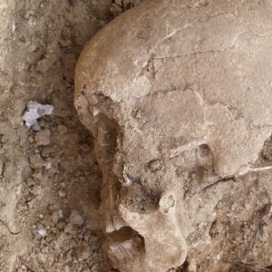 DNA reveals ancestry of man buried in Stone Age monument in Spain, but his religion remains a mystery