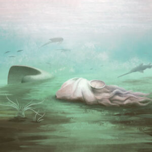 ‘Oldest Fossil Octopus’ Wasn’t One After All