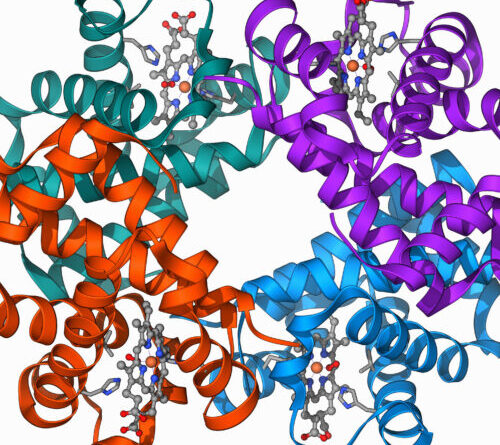 Clinical trial shows gene editing works for β-Thalassaemia, too