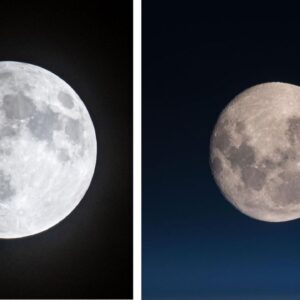 Does the moon look the same from everywhere on Earth?
