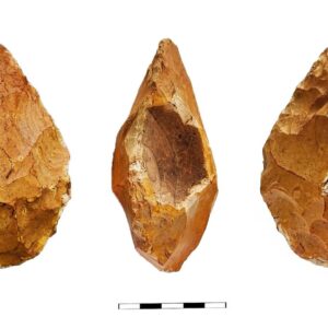 Homo erectus’ tools include stunning geodes and fossils, possibly as a way to connect with the cosmos, study finds
