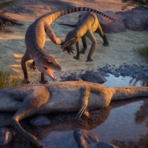 Triassic croc relative from Ghost Ranch, New Mexico finally identified after nearly 80 years in museum basement