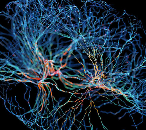 OpenAI starts offering a biology-tuned LLM